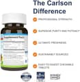 Carlson, Kid's Chewable Iron, Natural Strawberry Flavor, 15 mg, 60 Tablets харагдац 2