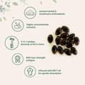 Micro Ingredients, Ginkgo Biloba Panax Ginseng Lion's Mane, 400 Softgels харагдац 4