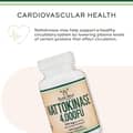 Nattokinase 4,000fu 200 MG Per Serving Max Activity (fu) Enzyme 120 Capsules Dietary Supplement харагдац 5