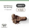 Reishi Mushroom Extract 1000 MG Per Serving High In Polysaccharides 300 Capsules Dietary Supplement харагдац 3