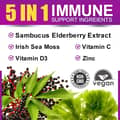 Beworths, Elderberry Sea Moss Gummies with Vitamin C, D3 & Zinc, 1,000 mg Elderberry, 60 Gummies харагдац 2