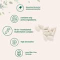 Micro Ingredients pure methylated multivitamin bioactive forms advanced formula 240 Capsules харагдац 3
