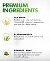 Bio Vitalica Sea Moss & Elderberry Premium Gummies 60 gummies харагдац 4