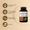 NatureBell Nattokinase with CoQ10, Bromelain, Turmeric, Ginger and Olive Leaf Extract 4,000 FU 240 Softgels харагдац 3