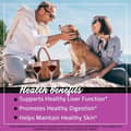 FarmHaven USDA Organic Milk Thistle 30:1 Extract, 80% Silymarin, 375mg, 120 Vegan Capsules харагдац 5