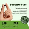 Micro Ingredients, Ginkgo Biloba Panax Ginseng Lion's Mane, 400 Softgels харагдац 8