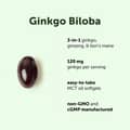 Micro Ingredients, Ginkgo Biloba Panax Ginseng Lion's Mane, 400 Softgels харагдац 7