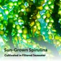 Micro Ingredients Organic Spirulina Tablets 3,000 mg 720 Tablets харагдац 5
