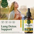 HERBAMAMA Mullein Leaf Drops for Lungs 2 fl oz / 60 ml харагдац 2