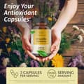 Boswellia Turmeric Dietary Supplement 2100 MG 100 Capsules Joint Support харагдац 2