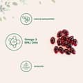 Antarctic Krill Oil Natural Astaxanthin Omega-3 (dha+epa) 1,000 MG Per Serving 300 Softgels харагдац 4