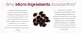 Astaxanthin From Microalgae Triple Strength 12 MG 120 Softgels харагдац 7