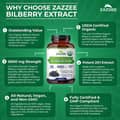 Zazzee, Organic Bilberry, 6,000 mg, 20:1 Extract, 120 Vegan Capsules харагдац 4